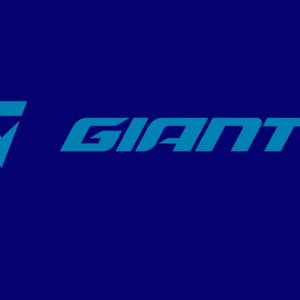 giant logo